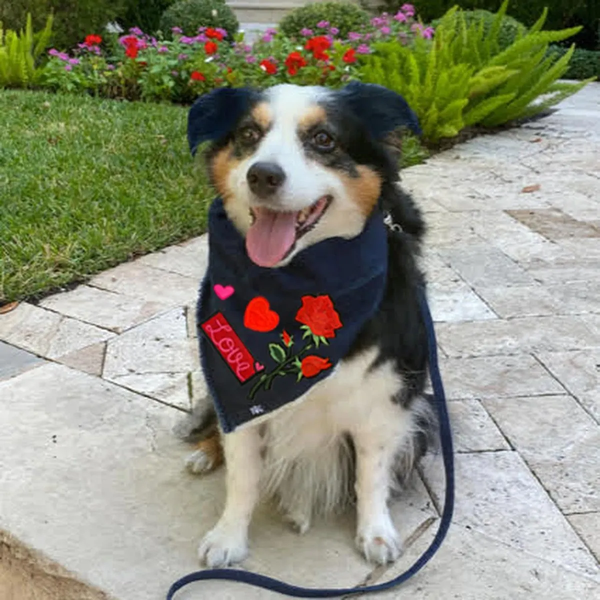 Denim Dog Bandana