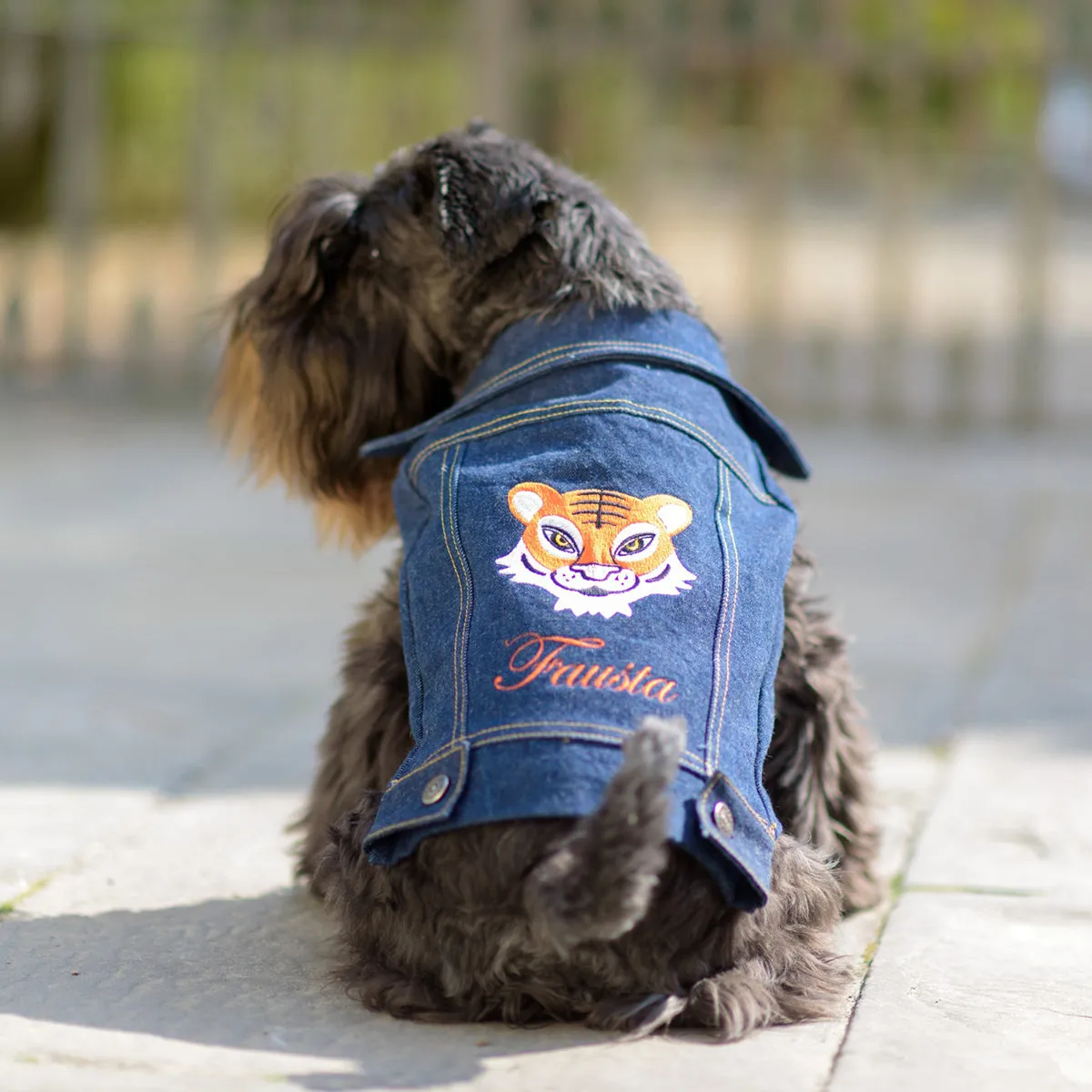 Personalized Bespoke Denim Trucker Dog Coat