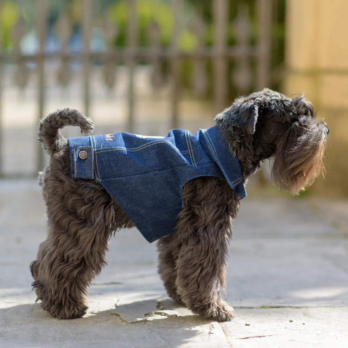 Personalized Bespoke Denim Trucker Dog Coat